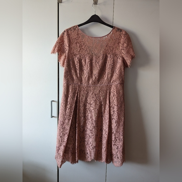 Antique Rose Lace Dress M&S Size 18 - Picture 4 of 10